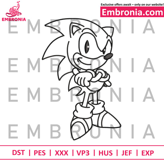 Sonic cart embroidery